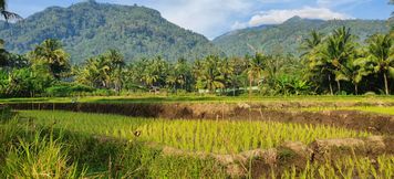 Nearby View and Attractions 3 Sitinggil Muncul Private Glamping 8 Pax (Max 16 Pax with Additional Extrabed)