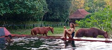 泳池 3 Havana Horses Lodge