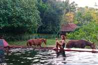 Swimming Pool Havana Horses Lodge