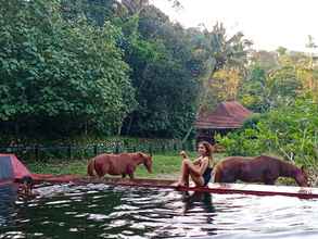 Kolam Renang 4 Havana Horses Lodge