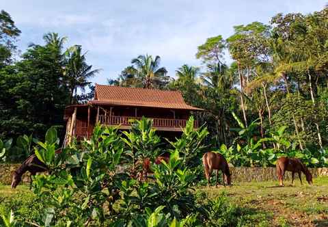 Bangunan Havana Horses Lodge