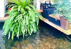 로비 5 Kuapa Resort