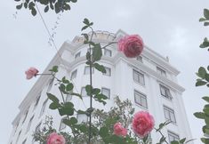 外観 6 Lotus Hotel & Apartment