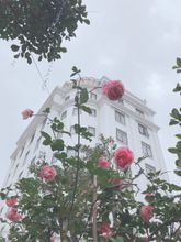 外観 4 Lotus Hotel & Apartment