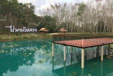 Swimming Pool RaiNa BuaLuang Cafe & Farm Stay