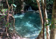 Tempat Tarikan Berdekatan 4 Permai Rainforest Resort