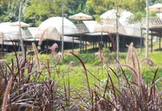 外部的 4 Dmangku Farm