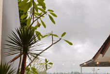 外観 Villa Soon Cisarua