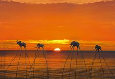 Lainnya 6 Prague Bungalow Phu Quoc