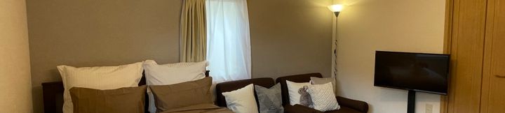 Others 4 Best Shinjuku Shibuya Modern Full-furnished Apartment2 FREEWIFI