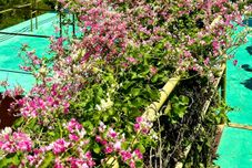 Exterior Watu Paris Jogja