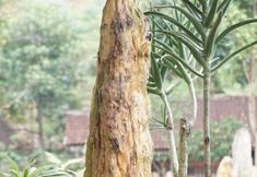 Nearby View and Attractions 4  Lembah Batu Heritage