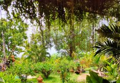 Exterior 5 Flora Land Resort 花現清邁民宿