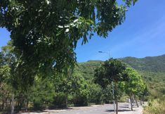 Others 2 Cobi's Home