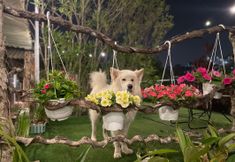 Kemudahan Hiburan 6 Hoa Son Village Da Lat