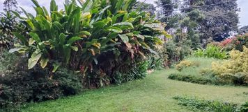 Others 5 Kampung Resort Pertiwi RedPartner