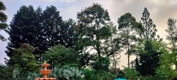 その他 6 Gardenia Park - Cilember