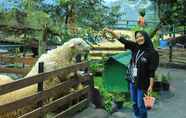 Lainnya 6 The Farm Pancawati