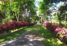 Nearby View and Attractions 5 Guest House Krikilan