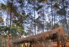 바, 카페, 라운지 4 Locca Lodge