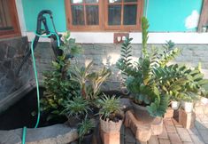 Bangunan 7 Joglo Ayu Syariah Guest House