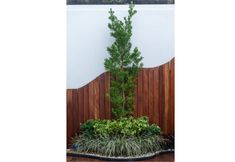 Luar Bangunan 4 Bania Boutique House