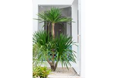 Luar Bangunan 3 Bania Boutique House