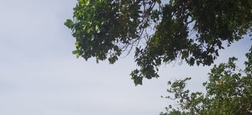 อื่นๆ 6 Villa Pantai Carita