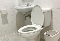 기타 6 Chubby House