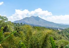 Others 3 Tiing Bali Guest House Kintamani