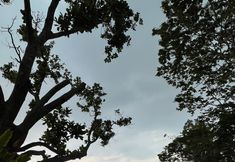 Swimming Pool 4 Lynn Resort Carita