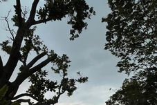 Swimming Pool Lynn Resort Carita