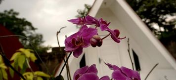 ภายนอกอาคาร 2 Satus Glamping by Tamadara