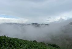 Others 3 Mon view ngam