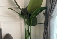 Lobby 4 Rown Homestay - 8 menit ke malioboro (4kamar ac)