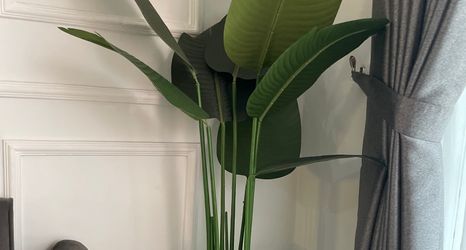 Lobby 2 Rown Homestay - 8 menit ke malioboro (4kamar ac)