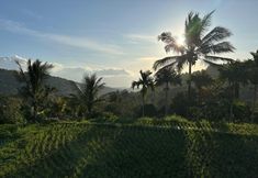 Lain-lain 4 Munduk Nature Lodge