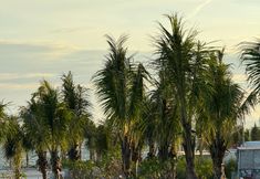 Khác 7 Home Sun Moon