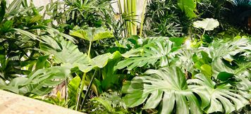 Others 5 Sun Residence Hotel