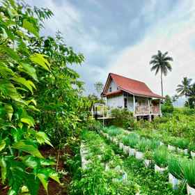 Exterior / Building 1 Pondok is oke, Alfamart Pulau Merah Sumberagung (Tasya Mart) Hotels