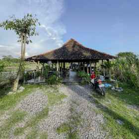 Lobby 1 House of Black Sheep, Khách sạn Omah Sambi