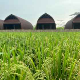Exterior / Building 1 Villa Lumbung Sidemen, Khách sạn Bloo Lagoon Restaurant & Cafe