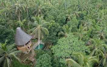 外部的 dupe account