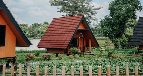 其他 2 The Kotenang.