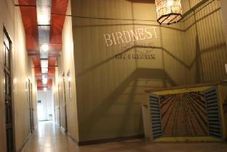 Others Birdnest Guesthouse, Gaia Rooftop Cafe