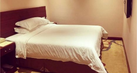 Others 2 Vienna Classic Hotel (Hangzhou Banshan Shiqiao)