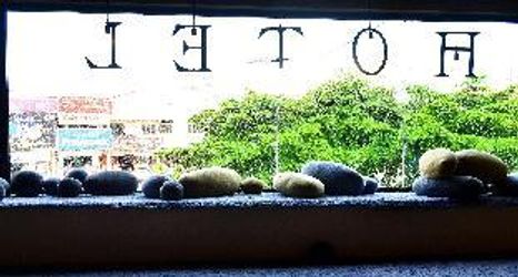 Lain-lain 2 THE ROOM2 @ Zishi