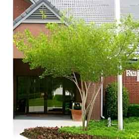 Residence Inn Dallas Addison/Quorum Drive 1 Residence Inn Dallas Addison/Quorum Drive, Shops at Willow Bend Hotels