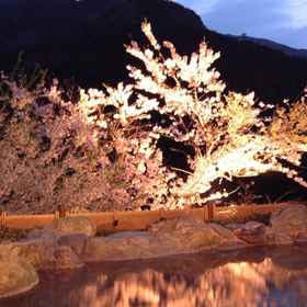 Iya Onsen Hotel Kazurabashi 1 Shinsoya Onsen Hotel Kazurabashi, Otoyo-cho Hotels