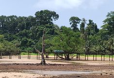 Lain-lain 5 The Cinnamon​ &​SaphanSufan​ Resort​ Kohmak